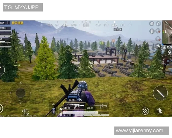 电竞新闻热议和平精英BLG耐力变革对游戏竞技环境的深远影响与未来发展趋势